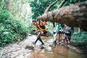 BIB: 
                            <button type="button" onclick="openModal(25373616)" class="btn btn-primary btn-sm float-right btn-popup" data-toggle="modal" data-target=".modal-high-quality">
                        <i class="fas fa-shopping-cart"></i> Add to Cart
                    </button>
                                            <button type="button" onclick="isThisMe(25373616, true)" class="btn btn-success btn-sm float-right btn-popup btn-isme hidden" data-toggle="tooltip" data-placement="bottom" title="นี่คือรูปของคุณใช่ไหม คลิกที่นี่เพื่อเอาเข้าอัลบั้ม">
                        <i class="fas fa-plus"></i> Add to album
                    </button>
                    <button type="button" onclick="isThisMe(25373616, false)" class="btn btn-warning btn-sm float-right btn-popup btn-isnotme hidden">
                        <i class="fas fa-ban"></i> Remove from album
                    </button>